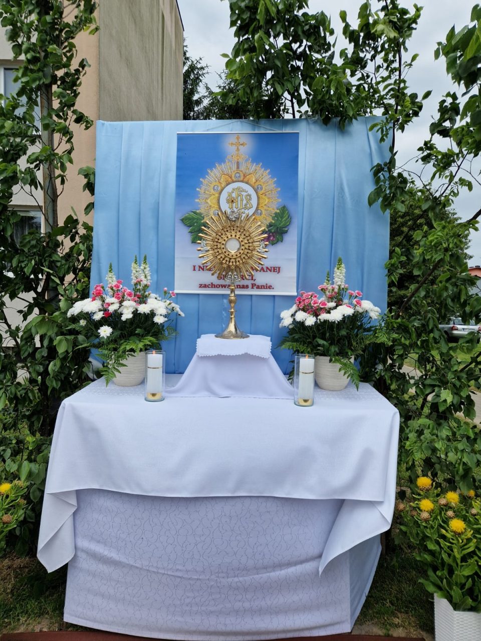 „Zagrody nasze widzieć przychodzi…”